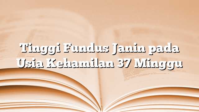 Tinggi Fundus Janin pada Usia Kehamilan 37 Minggu